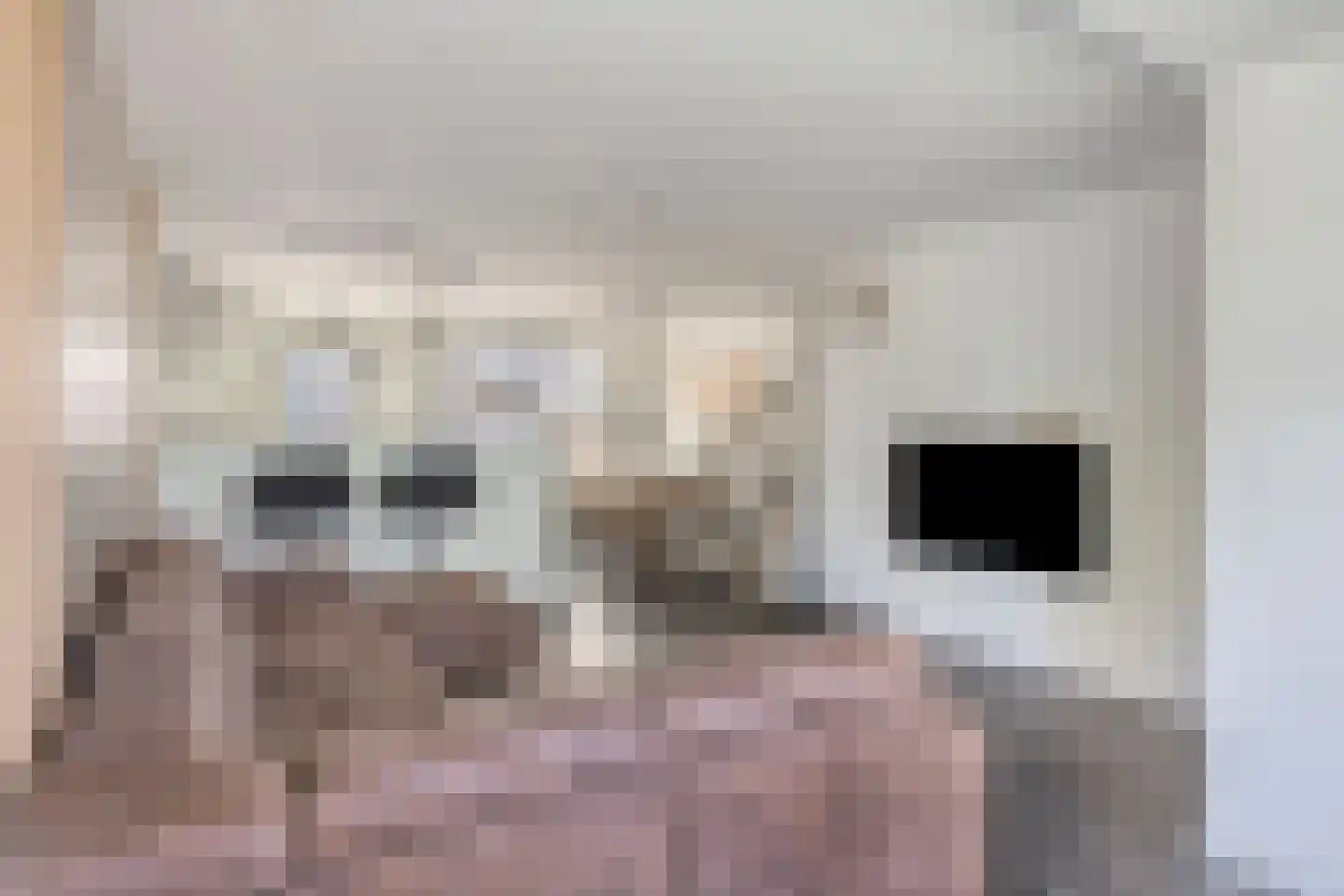 Van Limburg Stirumlaan 1 Vlijmen thumbnail 9