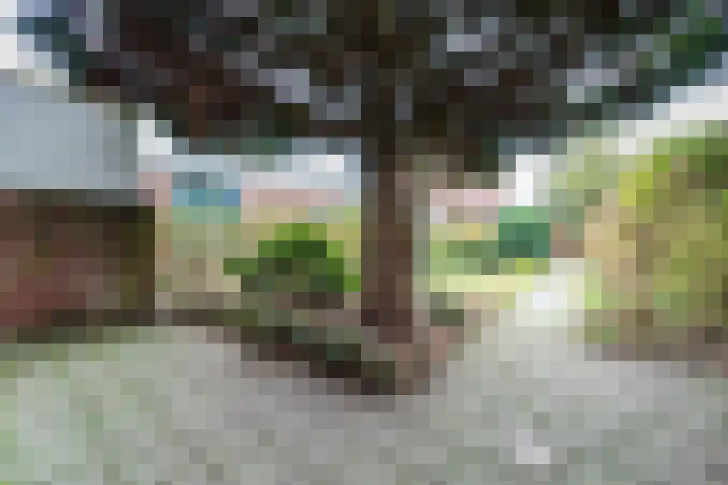Van Limburg Stirumlaan 109 Tilburg thumbnail 27