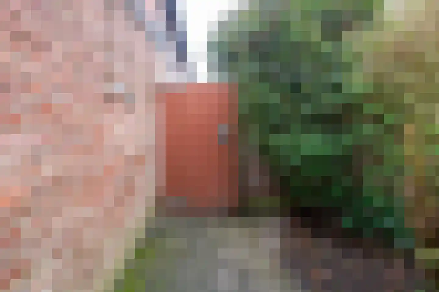 Van Limburg Stirumlaan 109 Tilburg thumbnail 30