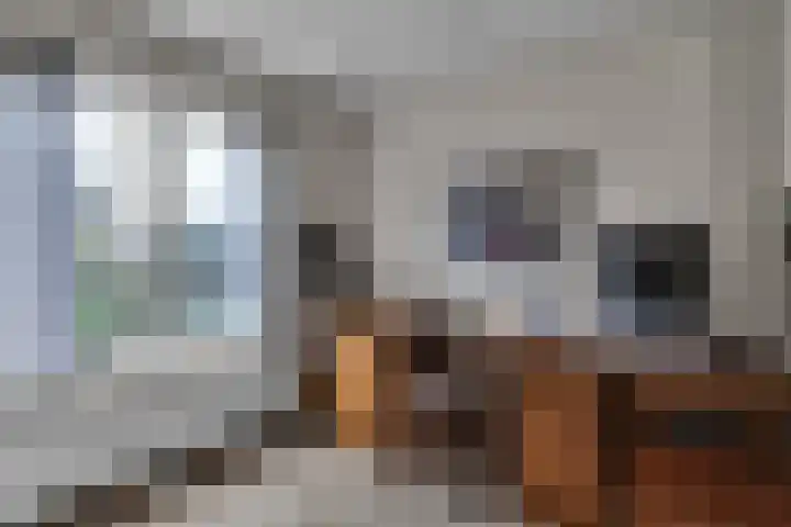 van Limburg Stirumlaan 11 Naarden thumbnail 24
