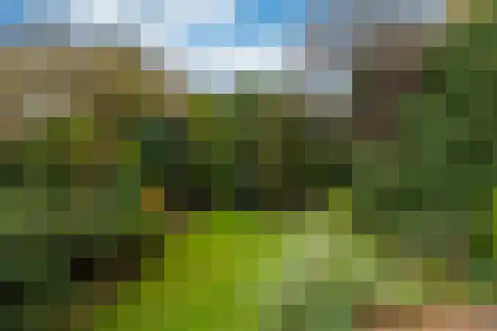 van Limburg Stirumlaan 11 Naarden thumbnail 31