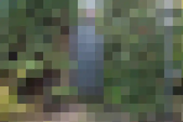 van Limburg Stirumlaan 11 Naarden thumbnail 32