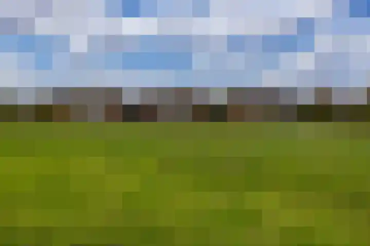van Limburg Stirumlaan 11 Naarden thumbnail 4