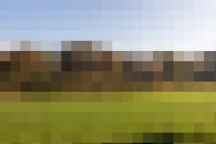 van Limburg Stirumlaan 11 Naarden thumbnail 5
