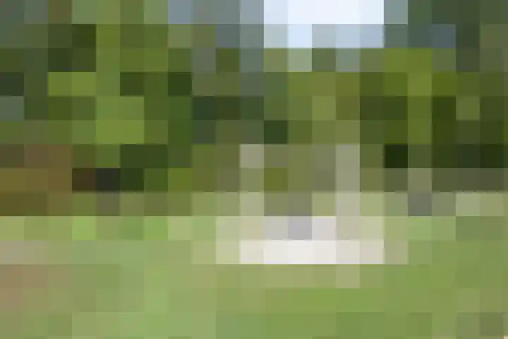 Van Limburg Stirumlaan 12 Woudenberg thumbnail 24