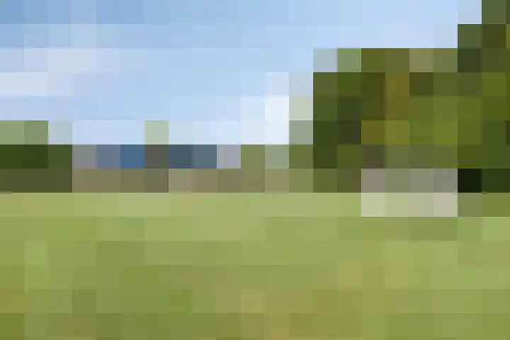 Van Limburg Stirumlaan 12 Woudenberg thumbnail 25