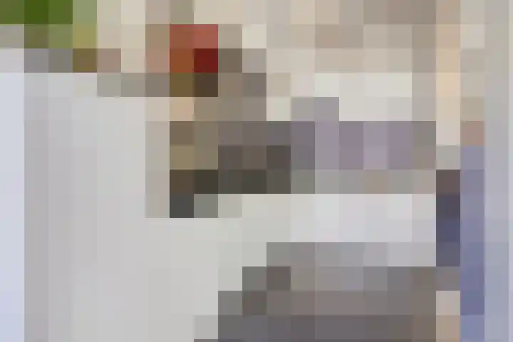 Van Limburg Stirumlaan 12 Woudenberg thumbnail 7