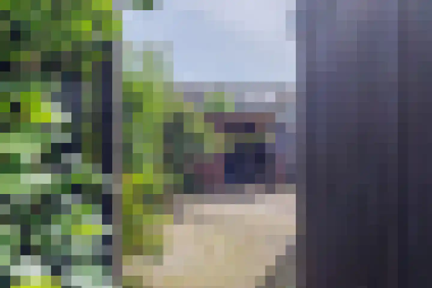van Limburg Stirumlaan 13 Hoogezand thumbnail 27