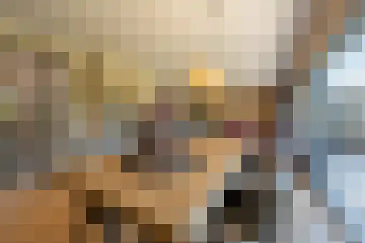 van Limburg Stirumlaan 13 Maasdam thumbnail 10