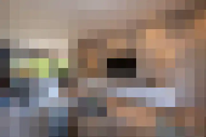 van Limburg Stirumlaan 13 Maasdam thumbnail 17