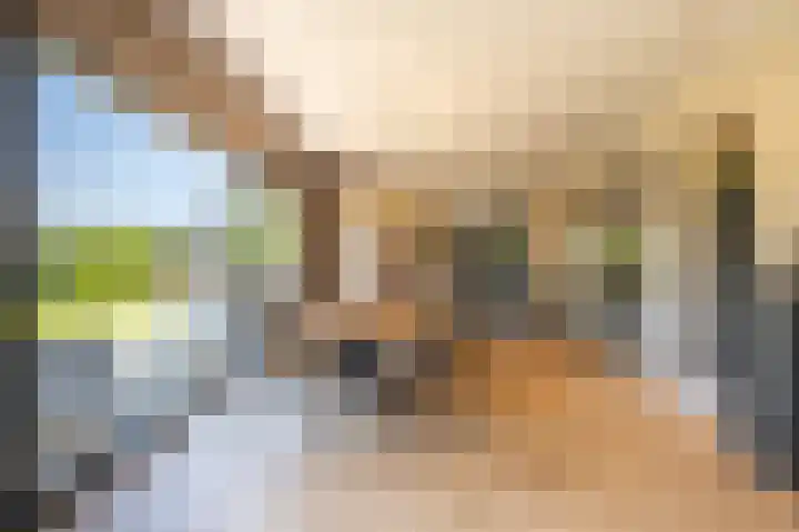 van Limburg Stirumlaan 13 Maasdam thumbnail 18