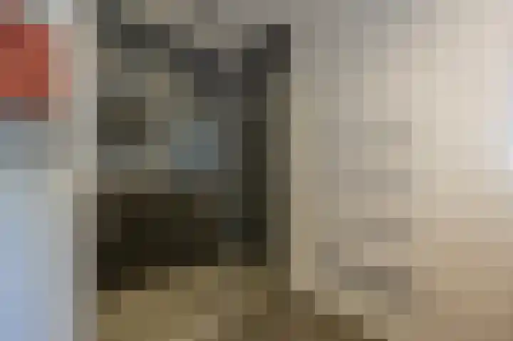 van Limburg Stirumlaan 13 Maasdam thumbnail 33