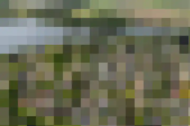 van Limburg Stirumlaan 13 Maasdam thumbnail 4