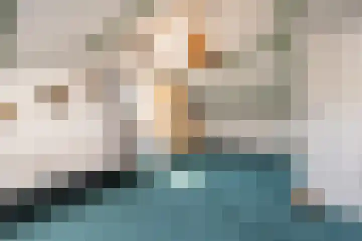 van Limburg Stirumlaan 13 Maasdam thumbnail 43