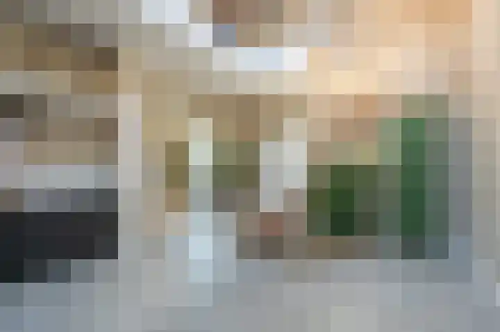 van Limburg Stirumlaan 13 Maasdam thumbnail 5