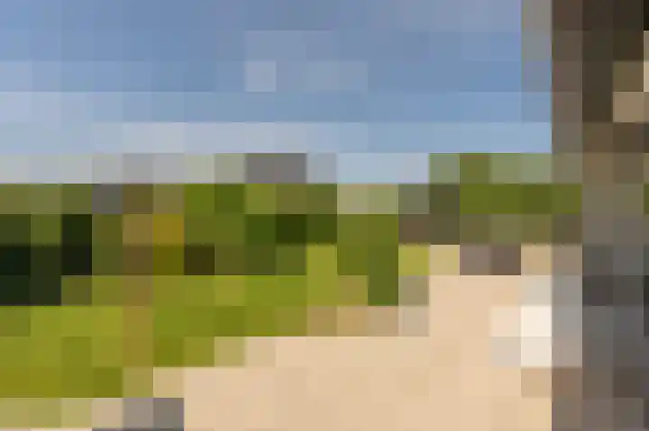van Limburg Stirumlaan 13 Maasdam thumbnail 54