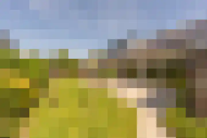 van Limburg Stirumlaan 13 Maasdam thumbnail 55