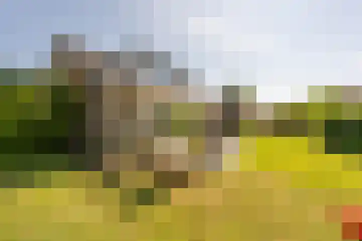 van Limburg Stirumlaan 13 Maasdam thumbnail 57
