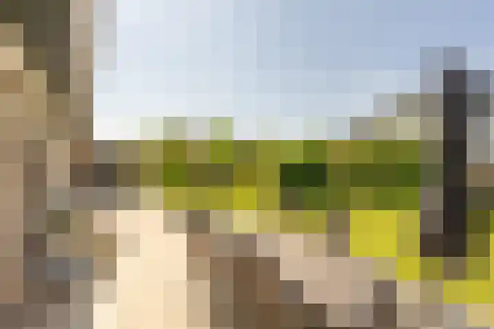 van Limburg Stirumlaan 13 Maasdam thumbnail 59