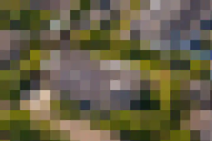 van Limburg Stirumlaan 13 Maasdam thumbnail 61
