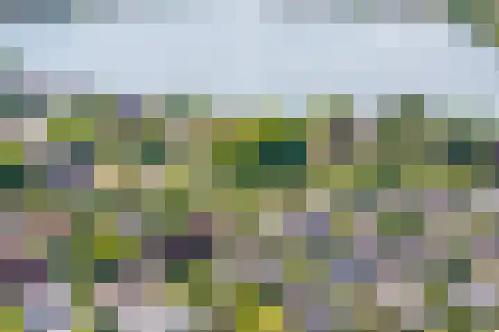van Limburg Stirumlaan 13 Maasdam thumbnail 63