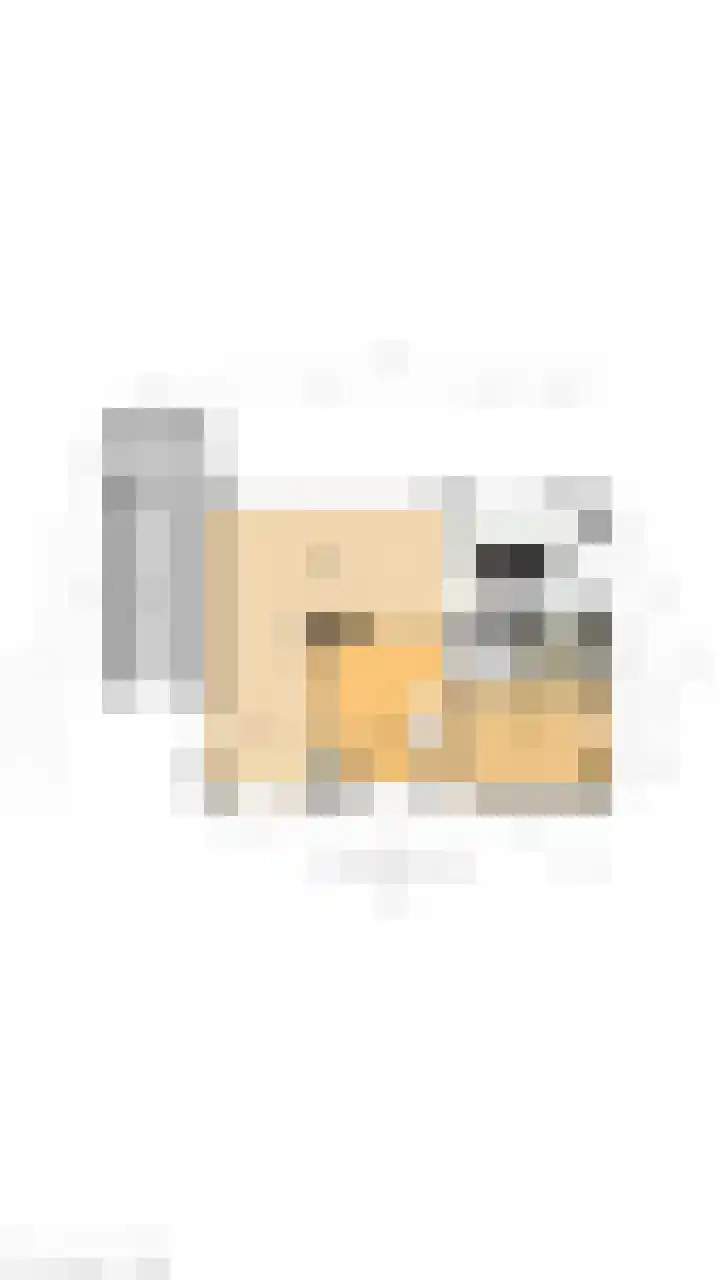 van Limburg Stirumlaan 13 Maasdam thumbnail 64