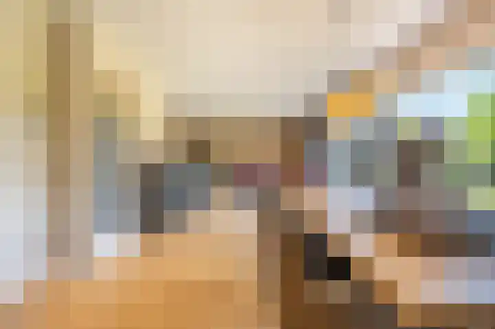 van Limburg Stirumlaan 13 Maasdam thumbnail 9