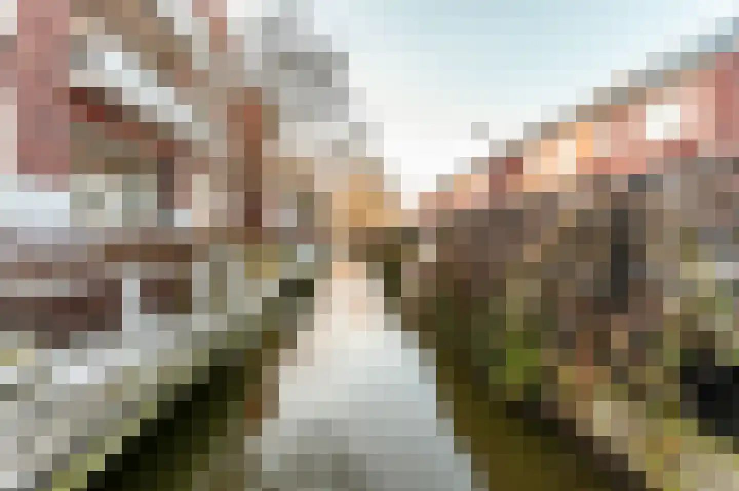 Van Limburg Stirumlaan 14 Barneveld thumbnail 41