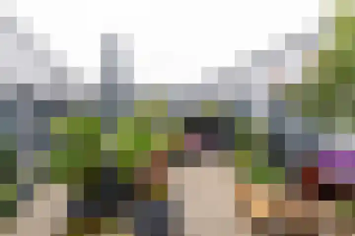 van Limburg Stirumlaan 153 Hoogezand thumbnail 20