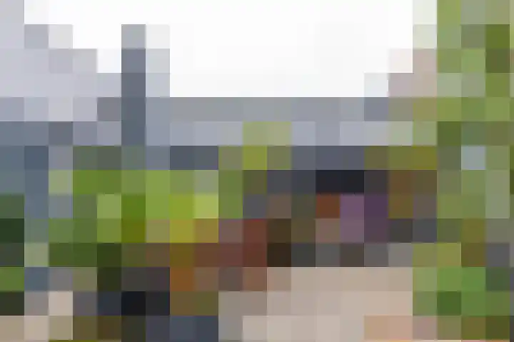 van Limburg Stirumlaan 153 Hoogezand thumbnail 21