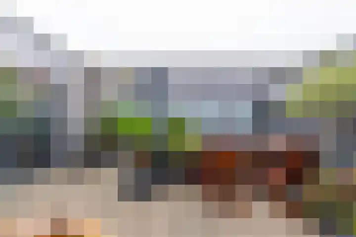 van Limburg Stirumlaan 153 Hoogezand thumbnail 5
