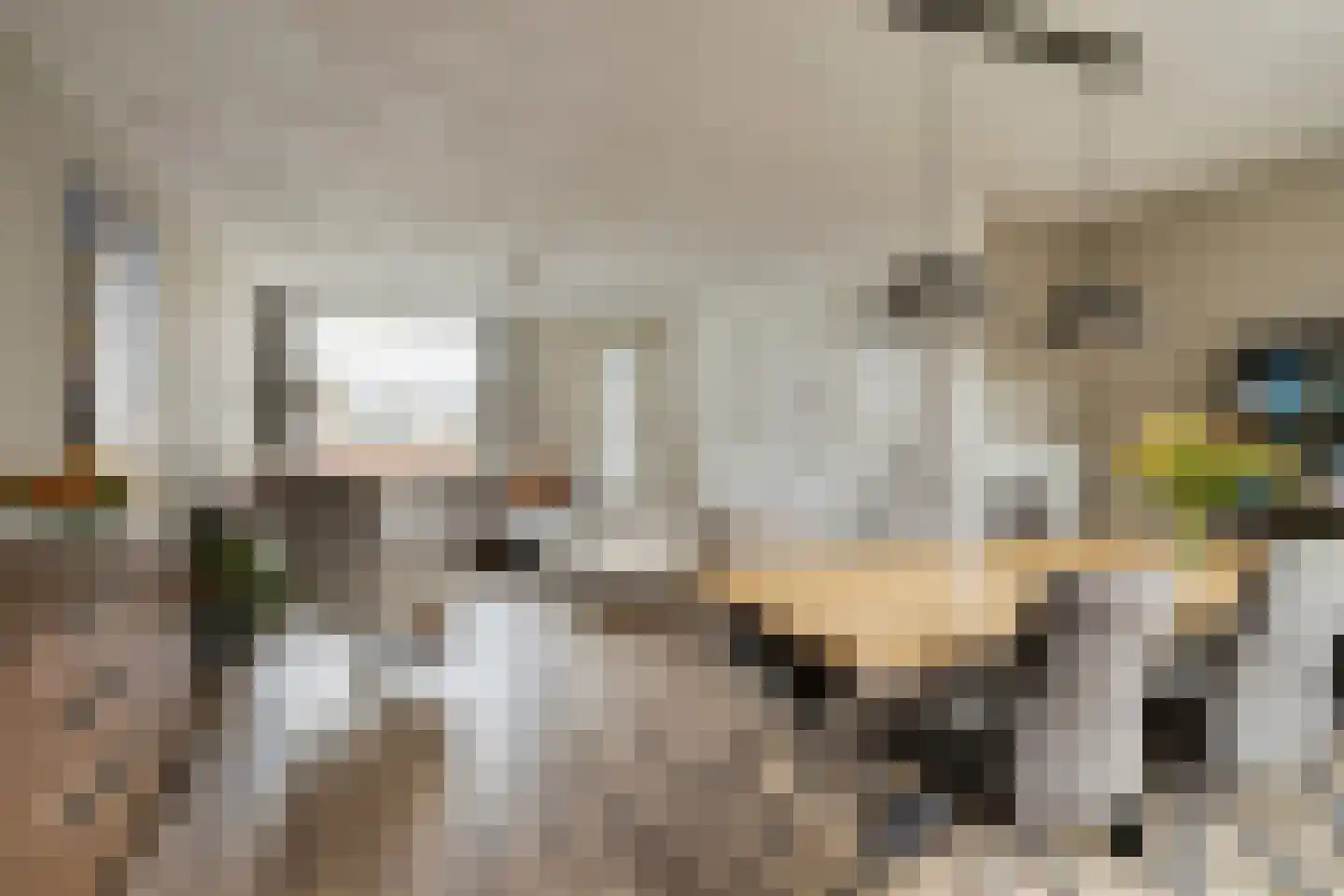 Van Limburg Stirumlaan 17 Vlijmen thumbnail 12