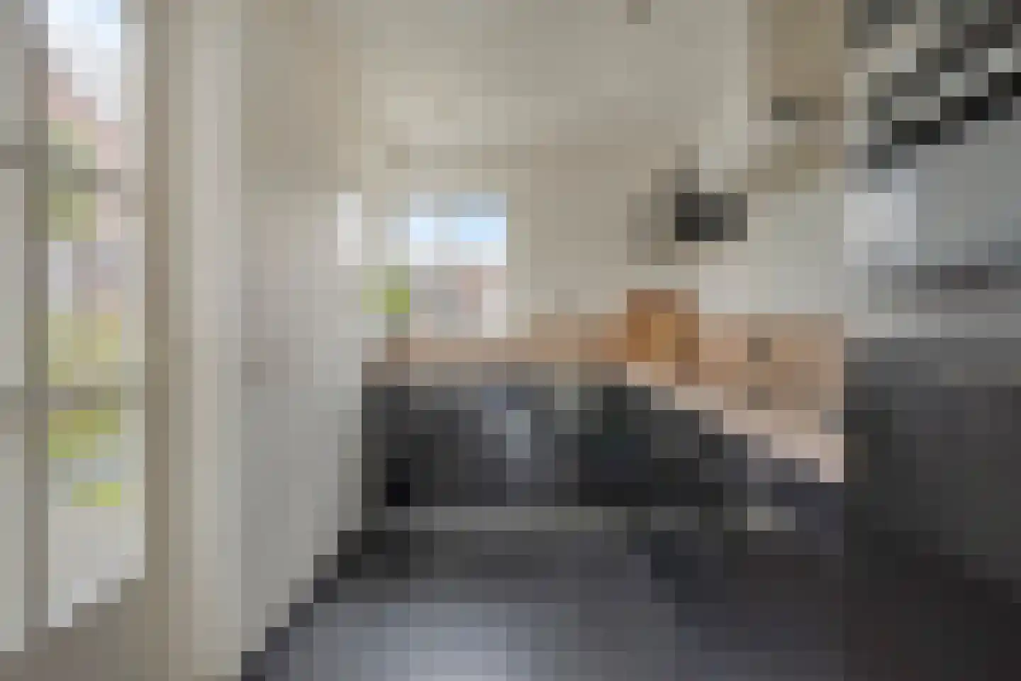 Van Limburg Stirumlaan 17 Vlijmen thumbnail 15