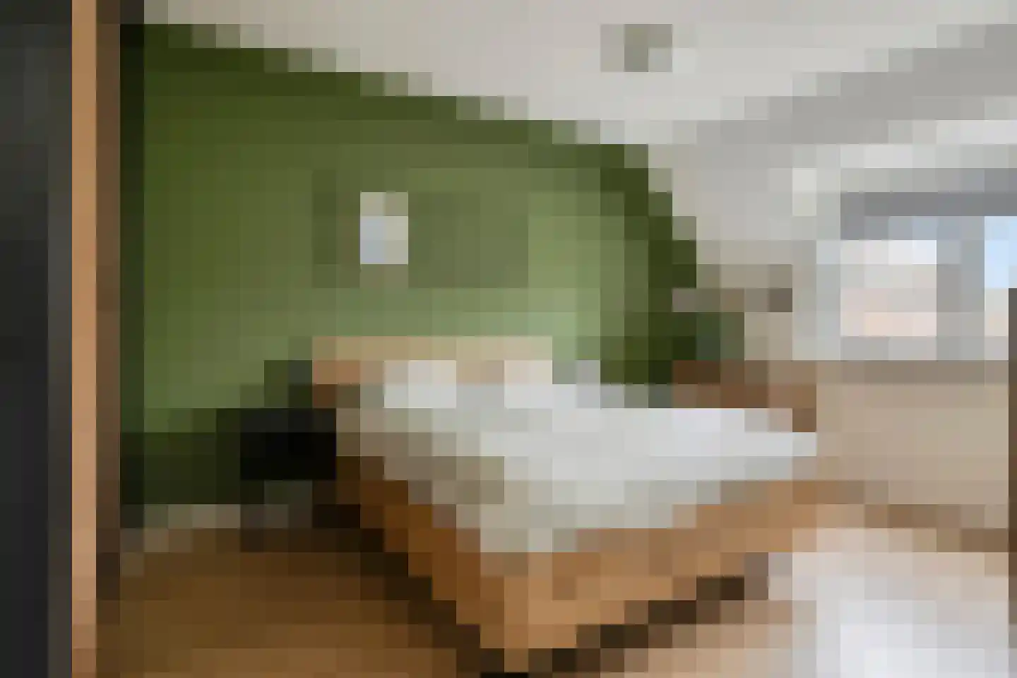 Van Limburg Stirumlaan 17 Vlijmen thumbnail 18