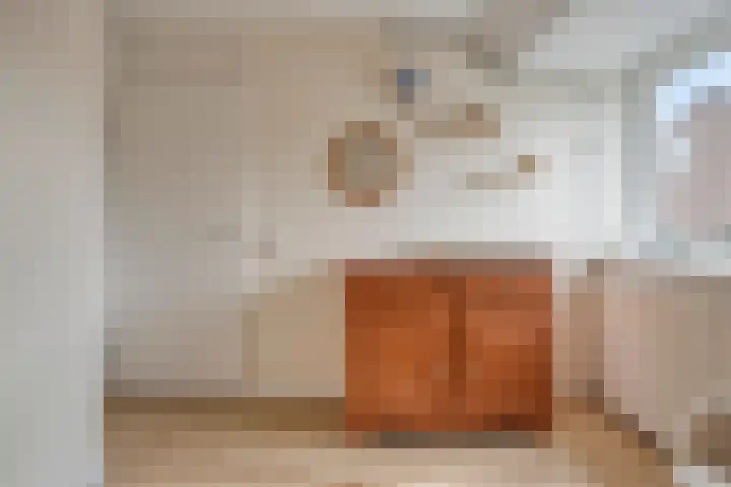 Van Limburg Stirumlaan 17 Vlijmen thumbnail 23