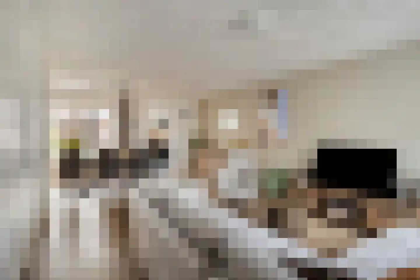 Van Limburg Stirumlaan 17 Vlijmen thumbnail 6