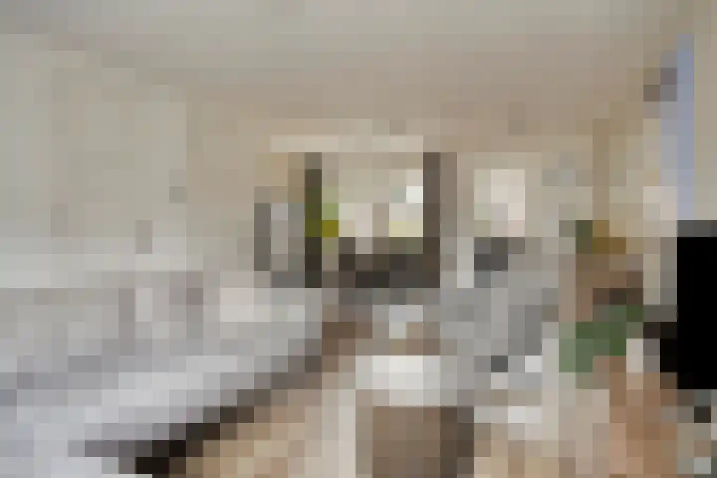 Van Limburg Stirumlaan 17 Vlijmen thumbnail 9
