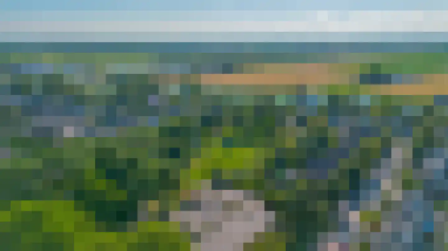 Van Limburg Stirumlaan 18 Hillegom thumbnail 46