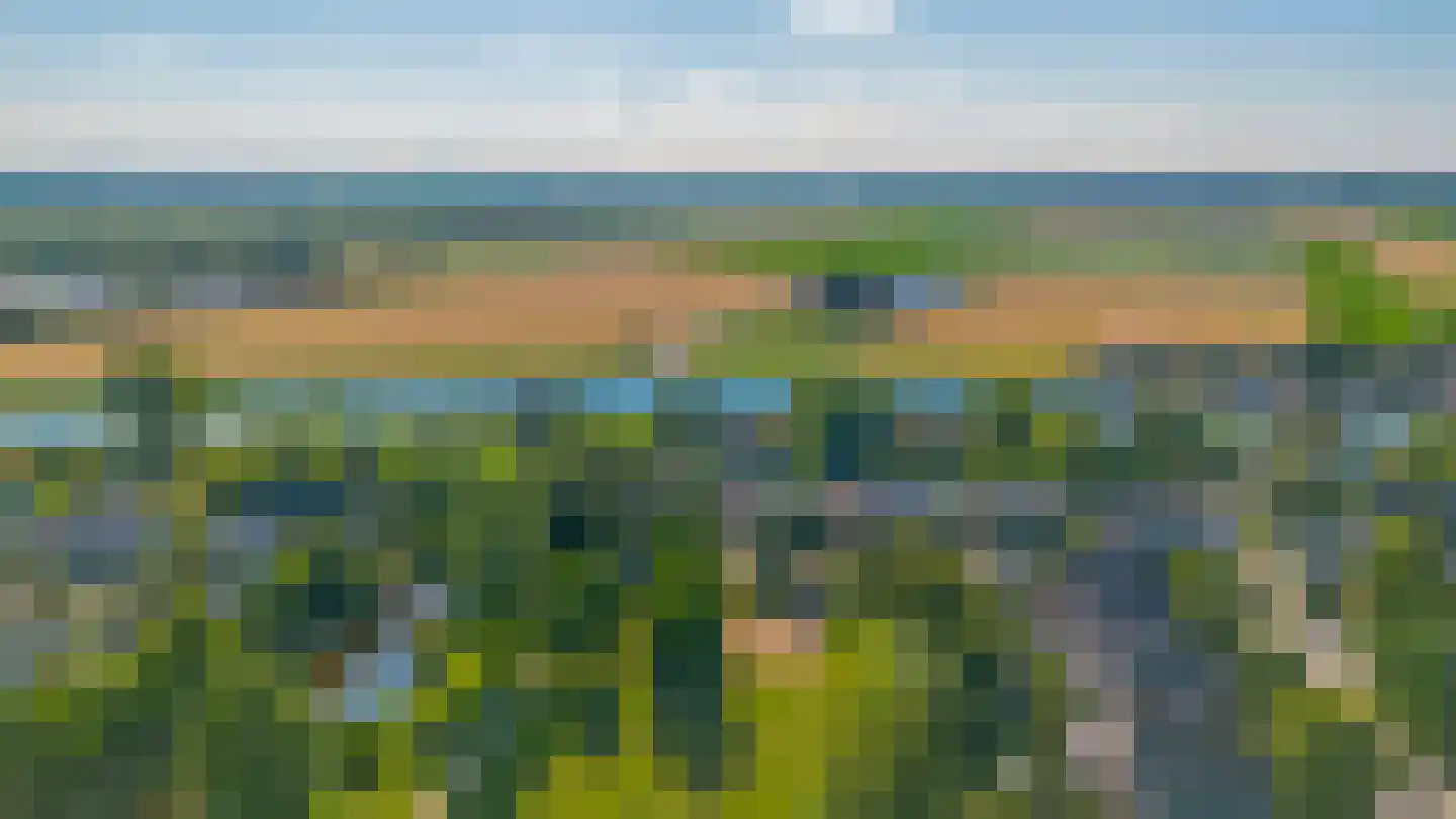 Van Limburg Stirumlaan 18 Hillegom thumbnail 49
