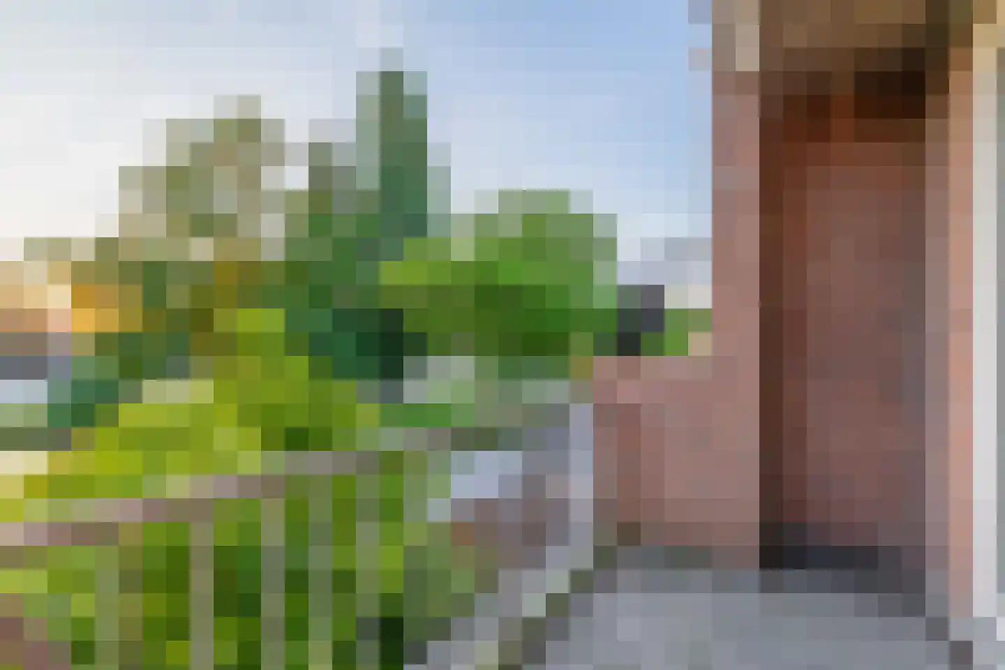 Van Limburg Stirumlaan 18 Hillegom thumbnail 6
