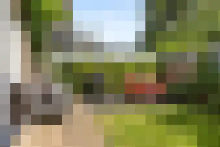 Van Limburg Stirumlaan 2 A Arnhem thumbnail 30