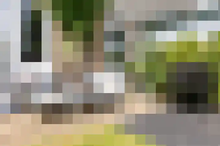 Van Limburg Stirumlaan 2 A Arnhem thumbnail 31