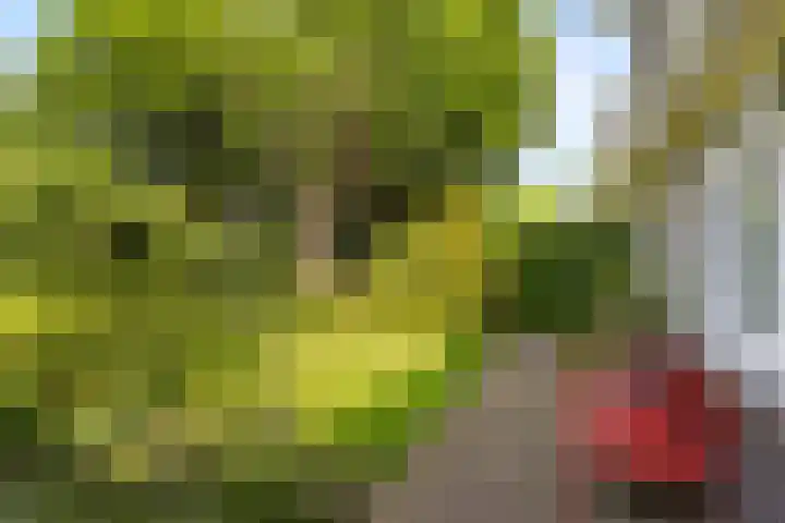 Van Limburg Stirumlaan 2 A Arnhem thumbnail 33