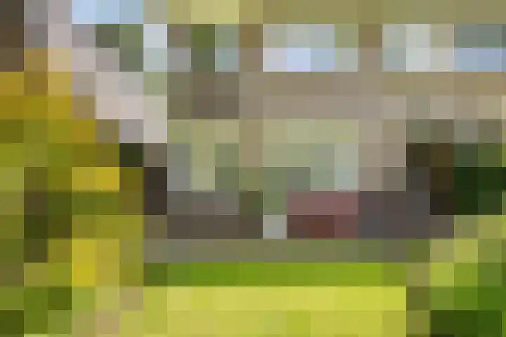 Van Limburg Stirumlaan 2 A Arnhem thumbnail 34