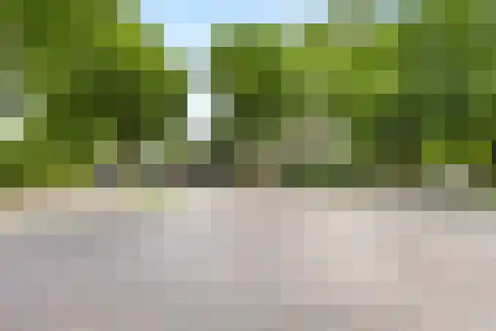Van Limburg Stirumlaan 2 A Arnhem thumbnail 37