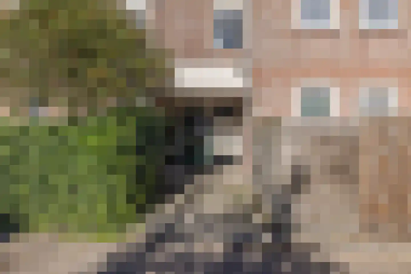 Van Limburg Stirumlaan 22 Hillegom thumbnail 12
