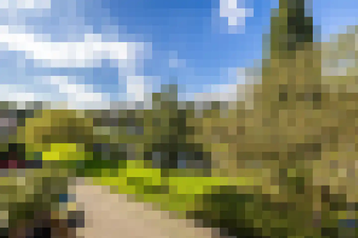 Van Limburg Stirumlaan 22 Hillegom thumbnail 44