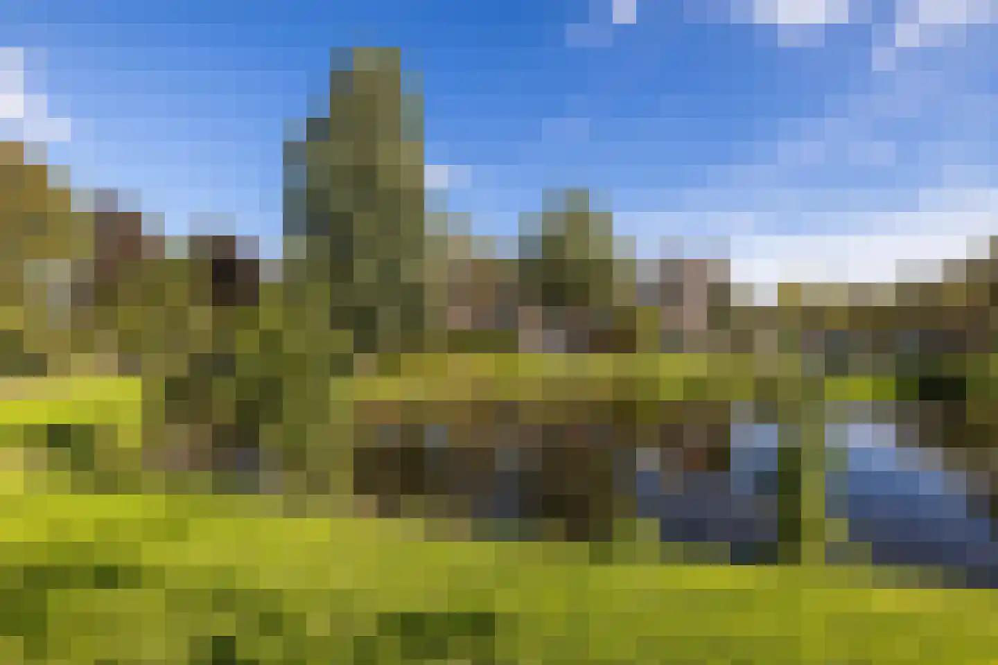 Van Limburg Stirumlaan 22 Hillegom thumbnail 45