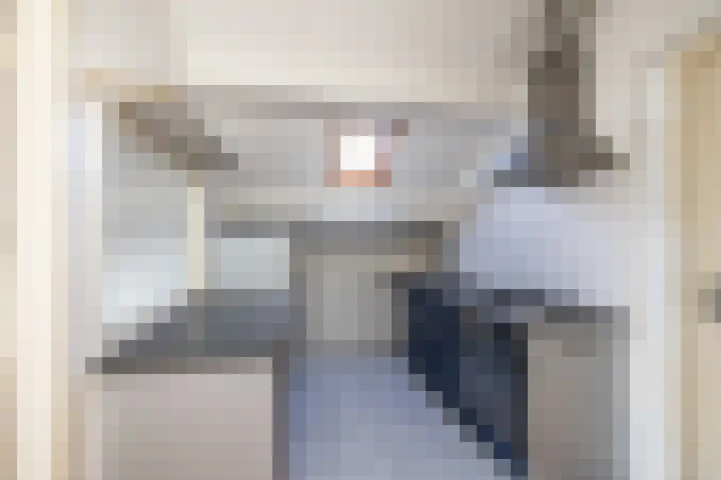 Van Limburg Stirumlaan 22 Hillegom thumbnail 7