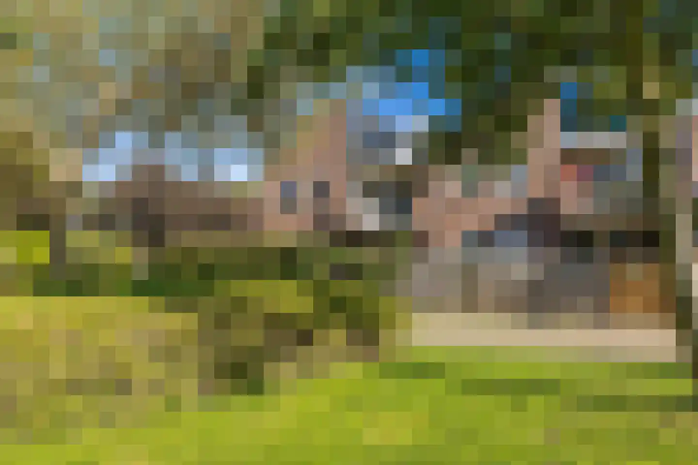 Van Limburg Stirumlaan 22 Hillegom thumbnail 9